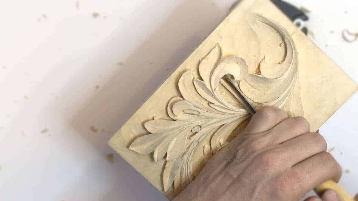 Greek acanthus leaf carved on a small basswood board held up to the light