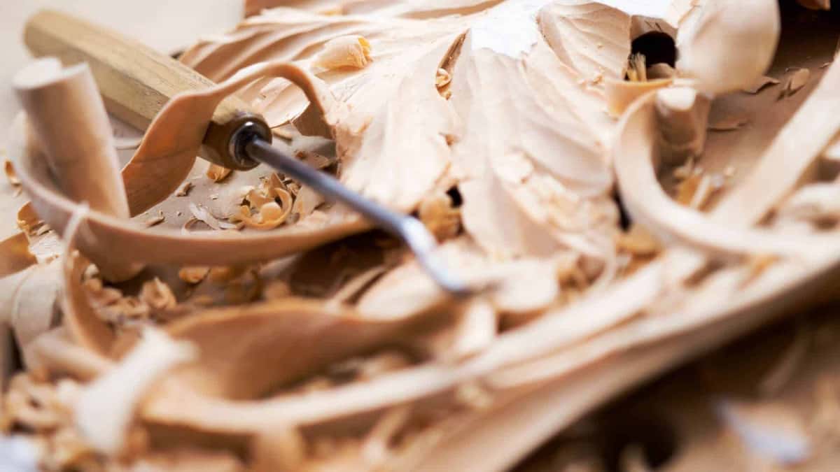 Long shavings peel away past the tool
