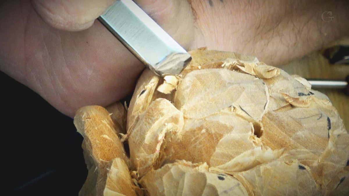 Flat chisel slicing a petal on a carved flower ball with torn fiber ends showing pale