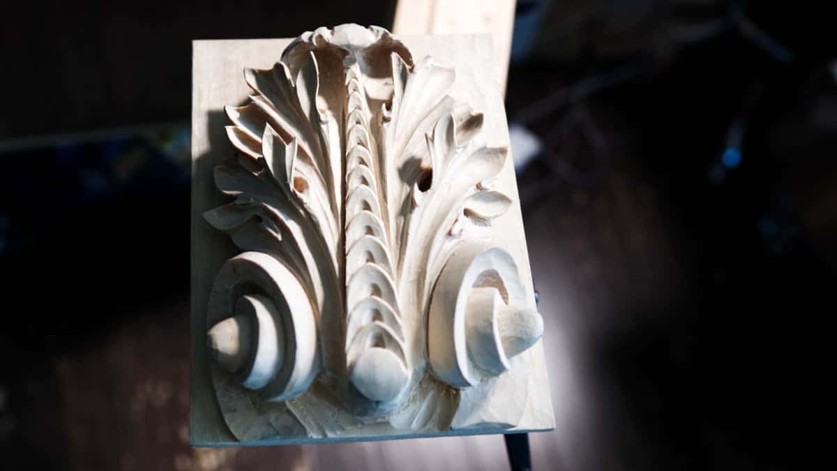 Bare acanthus lit hard from the side, with shadow pooling under each curled tip and volute.