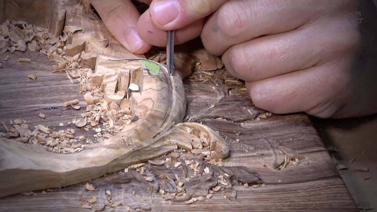 Gouge slicing dark olive wood with scattered chips