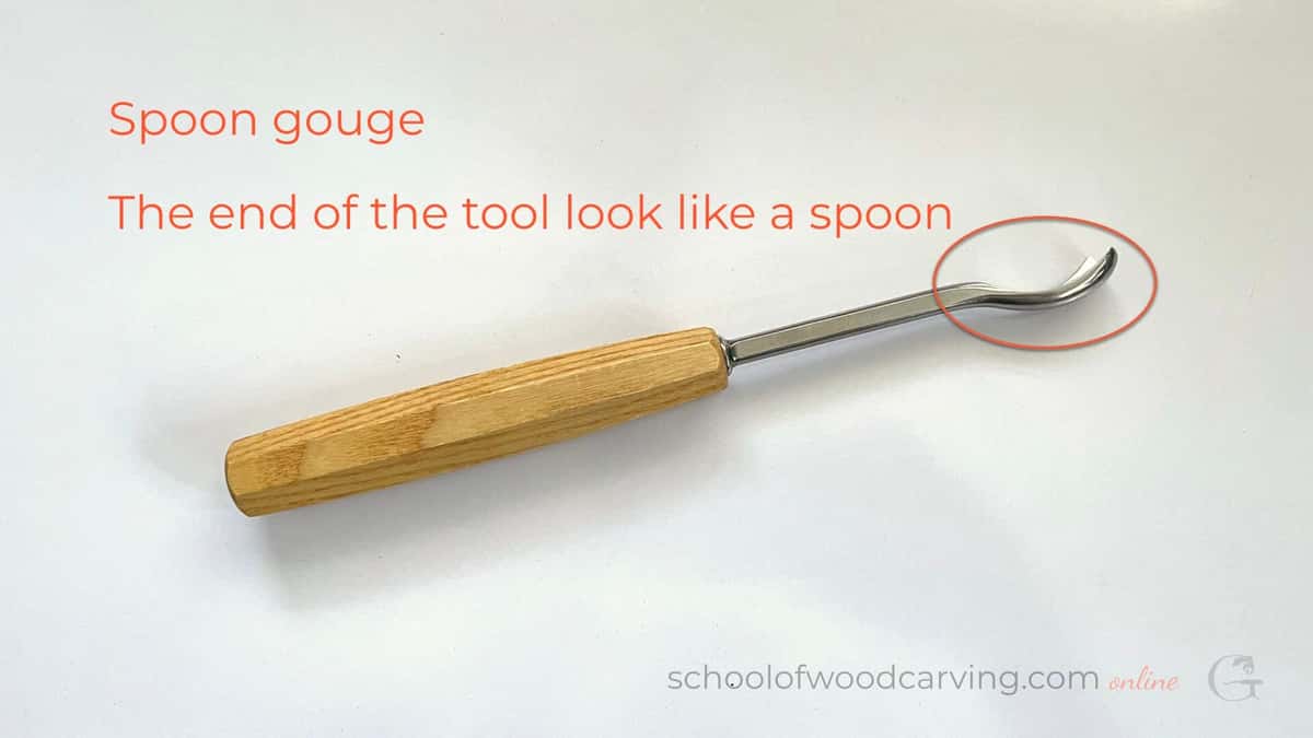Spoon gouge photographed on white with its curled tip circled in red for beginners