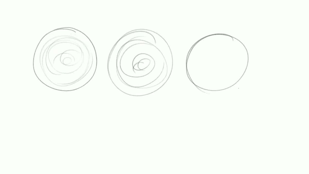 Hand drawn log end circles showing growth rings simplified down to a plain outline.