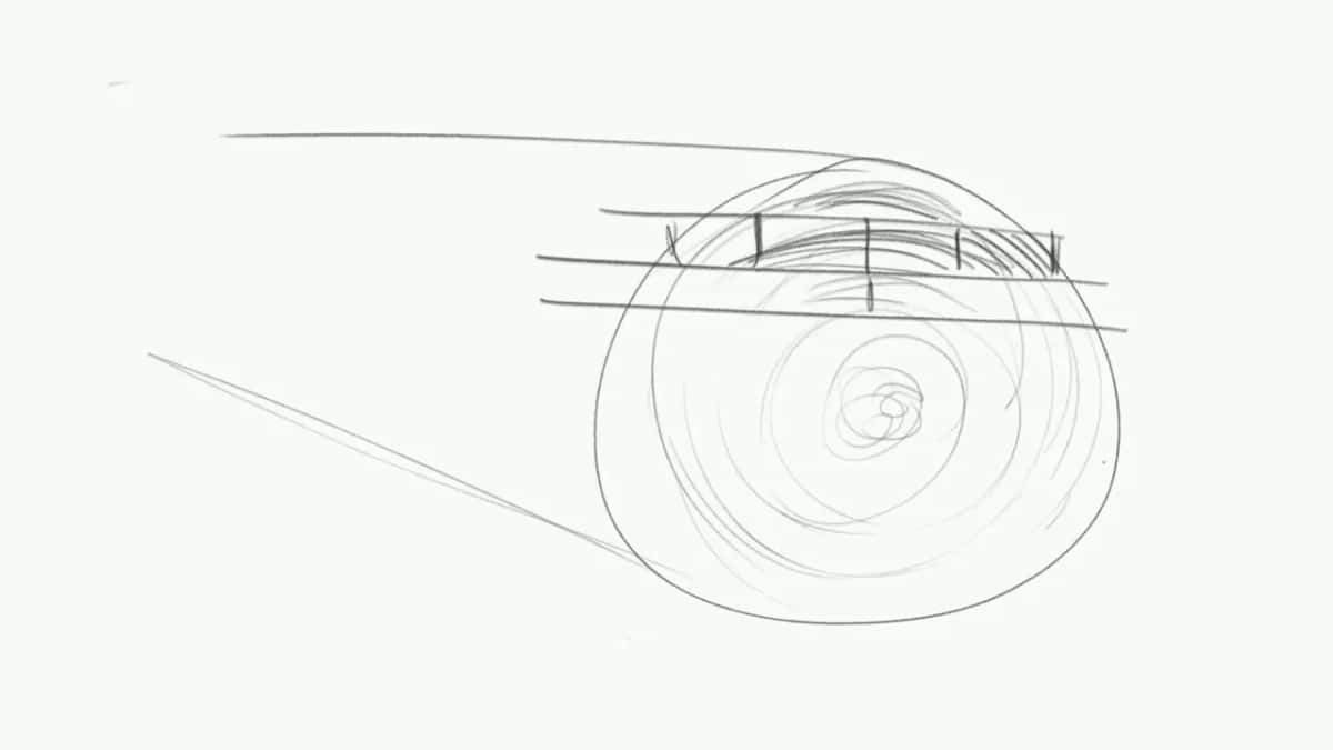 Sketch of a log end showing growth rings with lines marking different sawing cuts.