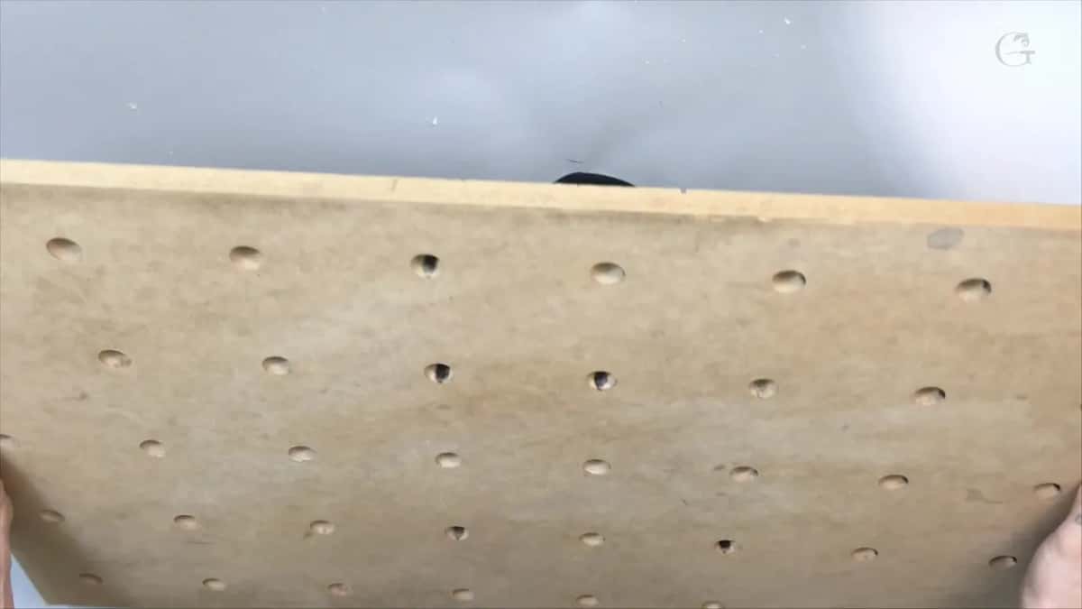 Holed MDF, lifted up