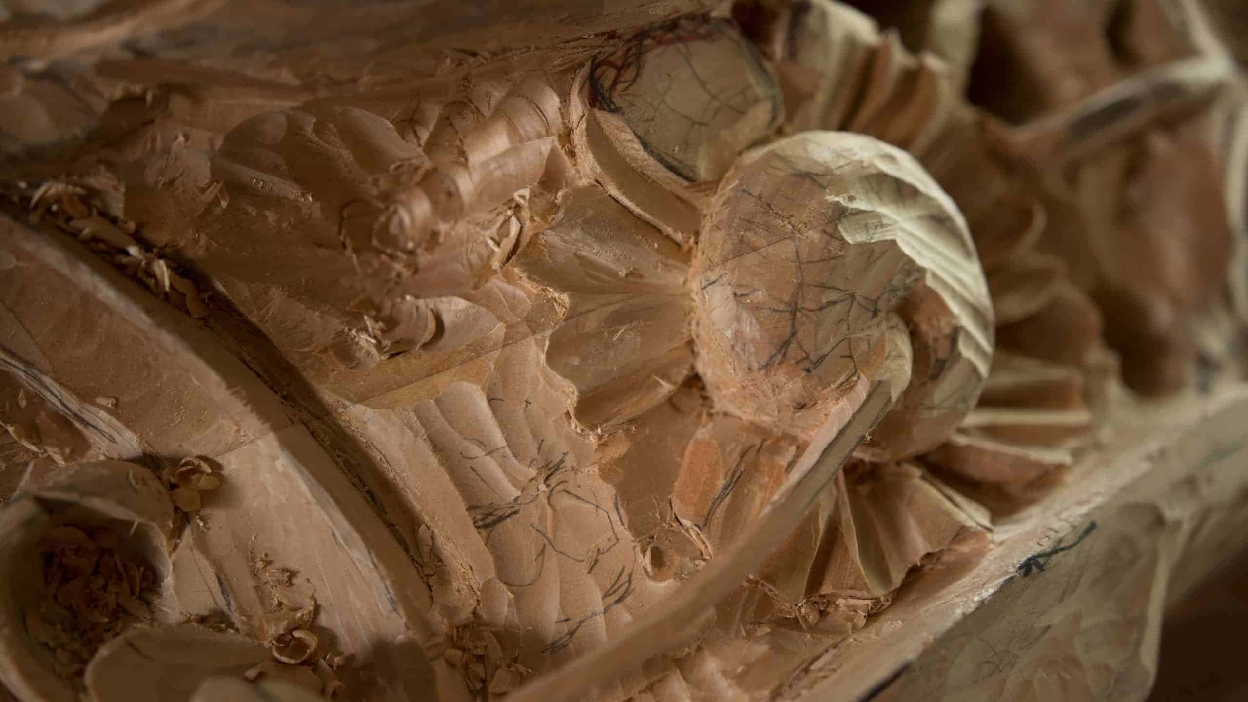 What Janka hardness of wood means for a hand carver