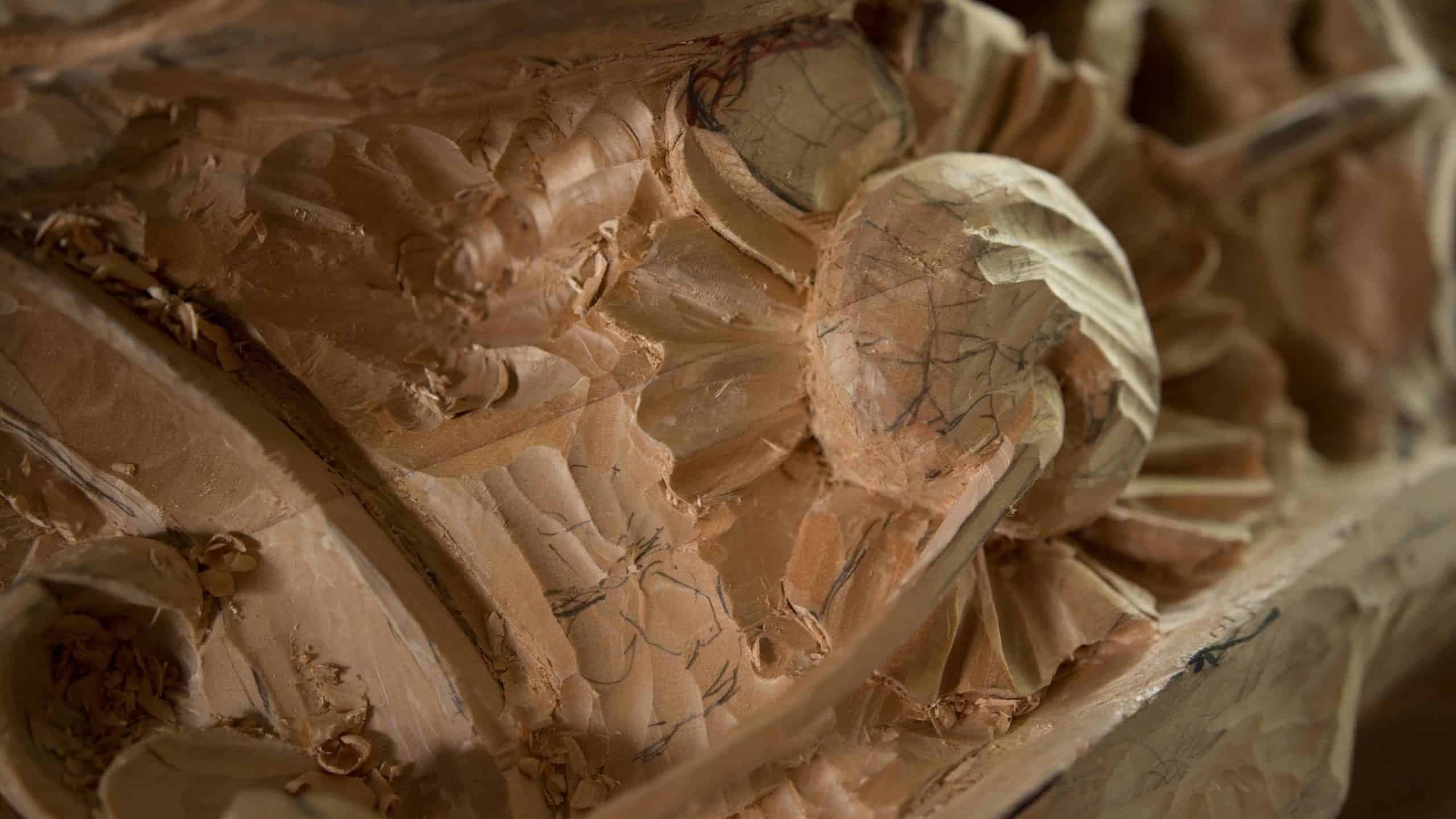 What Janka hardness of wood means for a hand carver