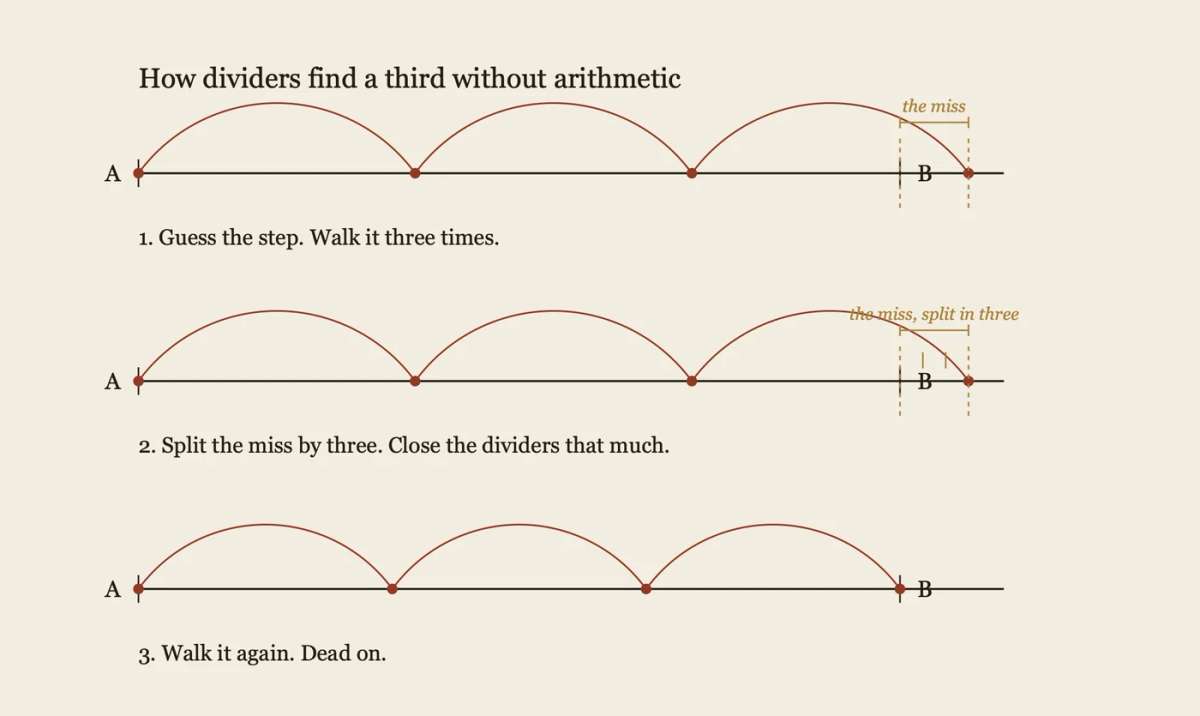 carving-layout-walking-out-dividers