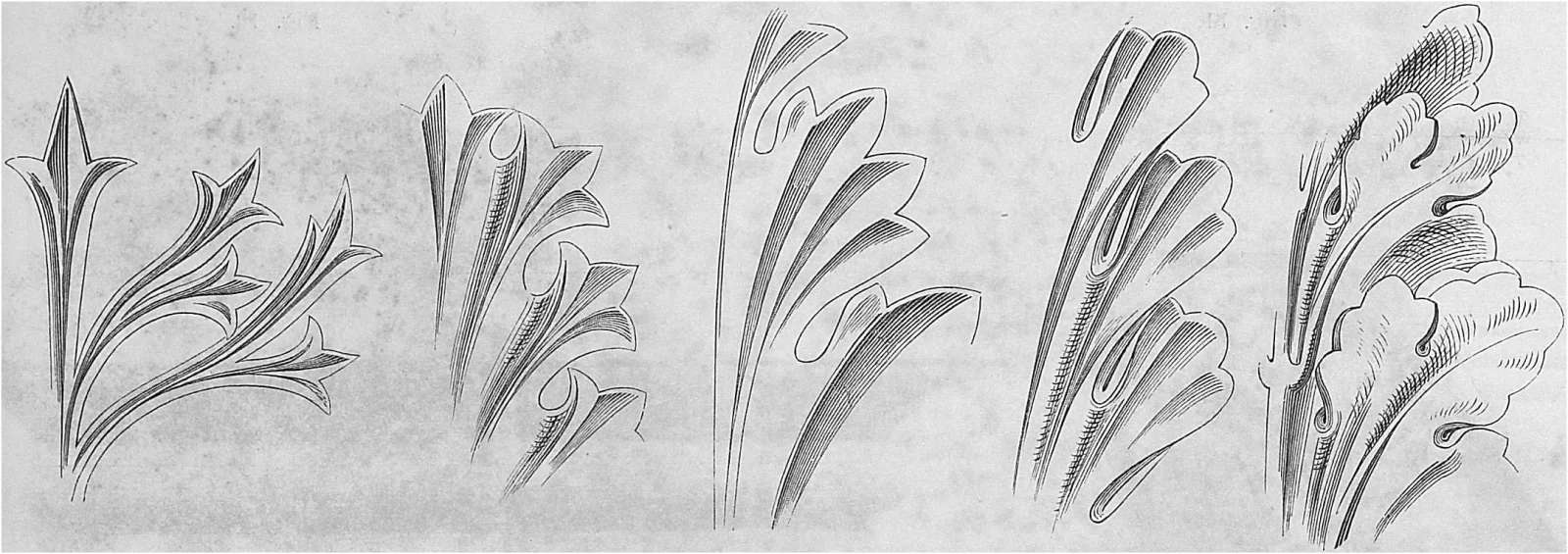 Greek vs Roman Acanthus Leaf. How to Tell Styles Apart