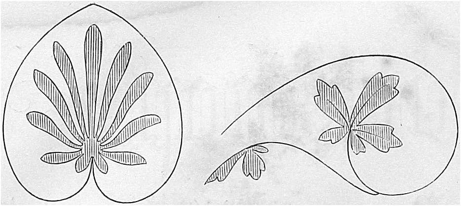 Diagram of two families of ornamental leaves from 1871
