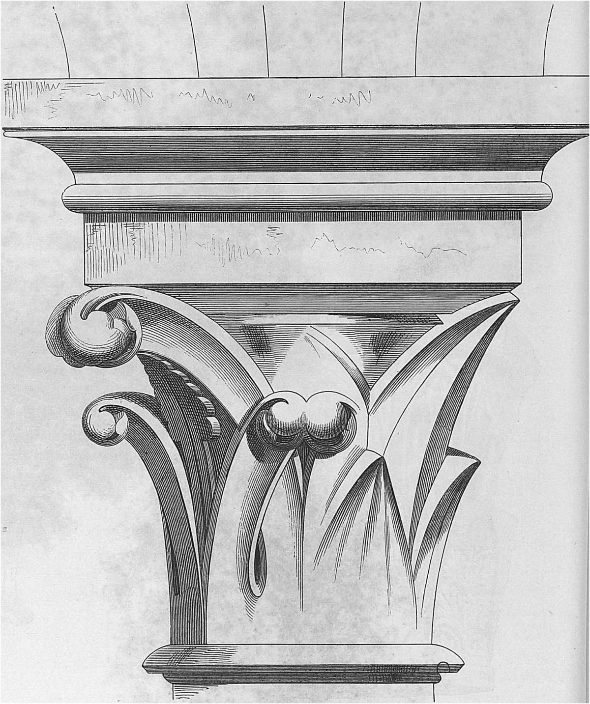 Gothic plantain leaf capitals from Laon cathedral, 1871
