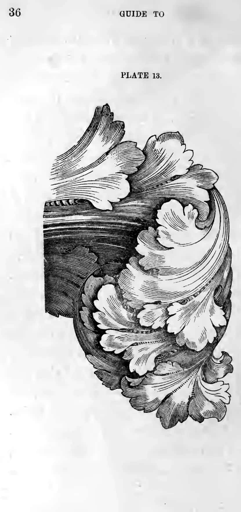 An engraved plate showing acanthus foliage worked over a molded ground, from a nineteenth century drawing guide