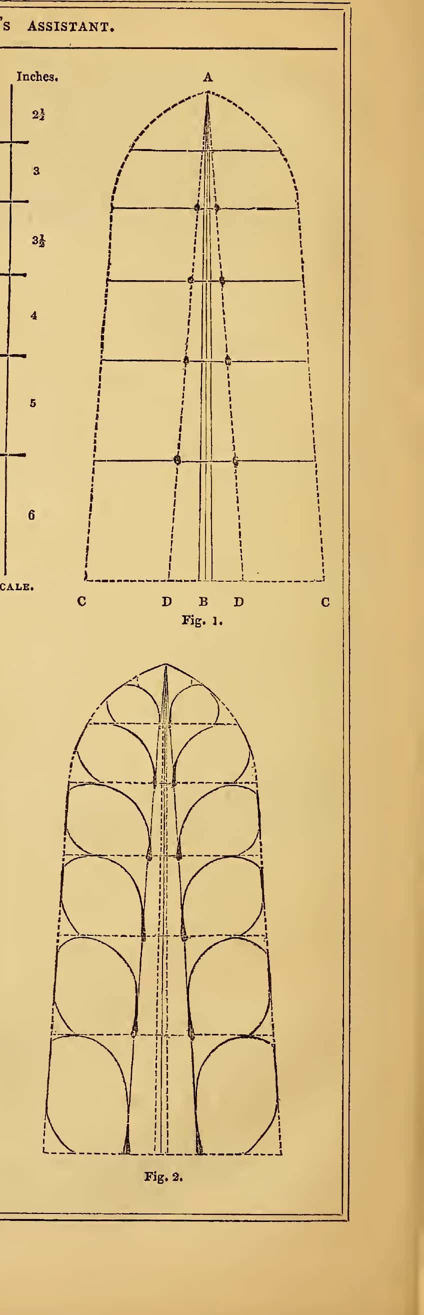 Two 1847 figures that build an acanthus leaf on a height line and a divided base