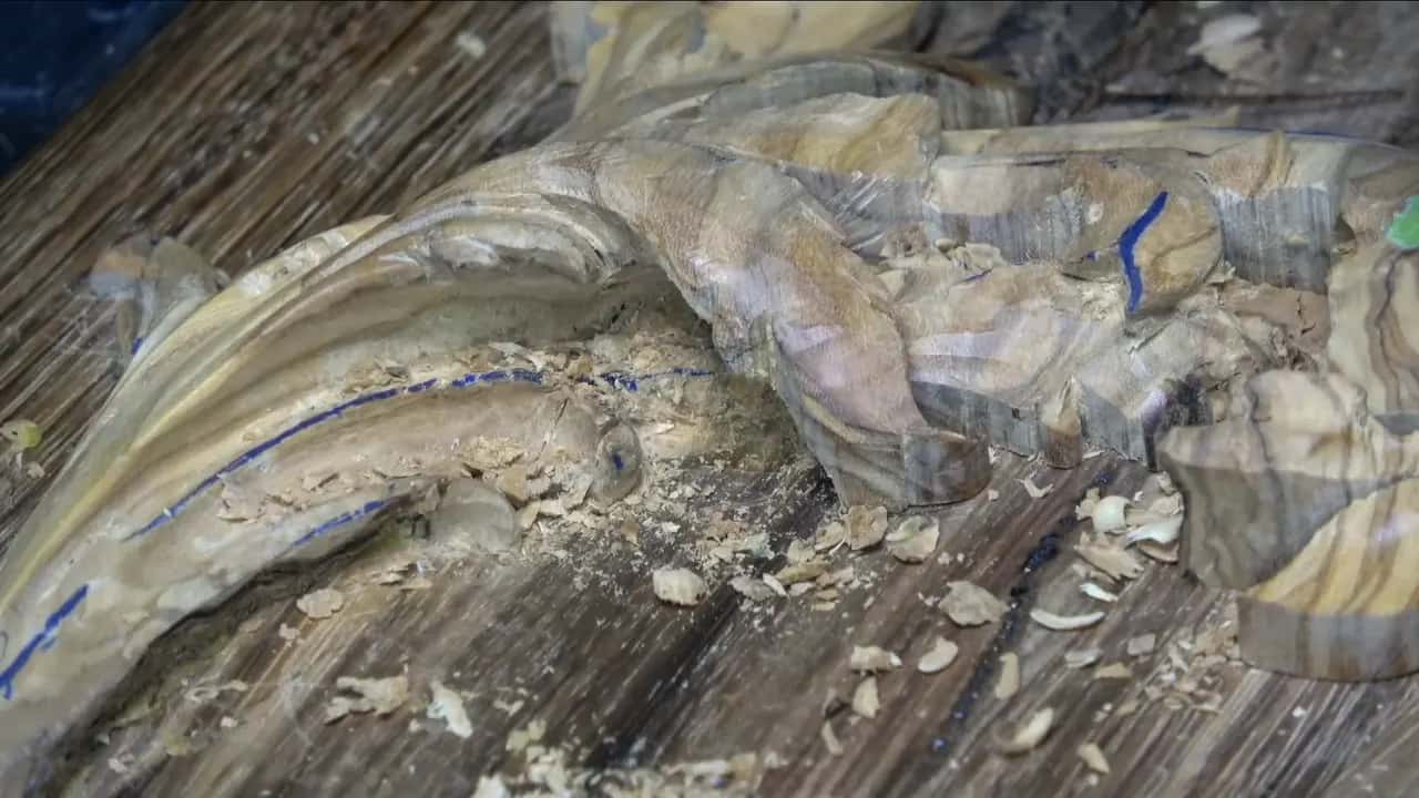 What does wood density mean?
