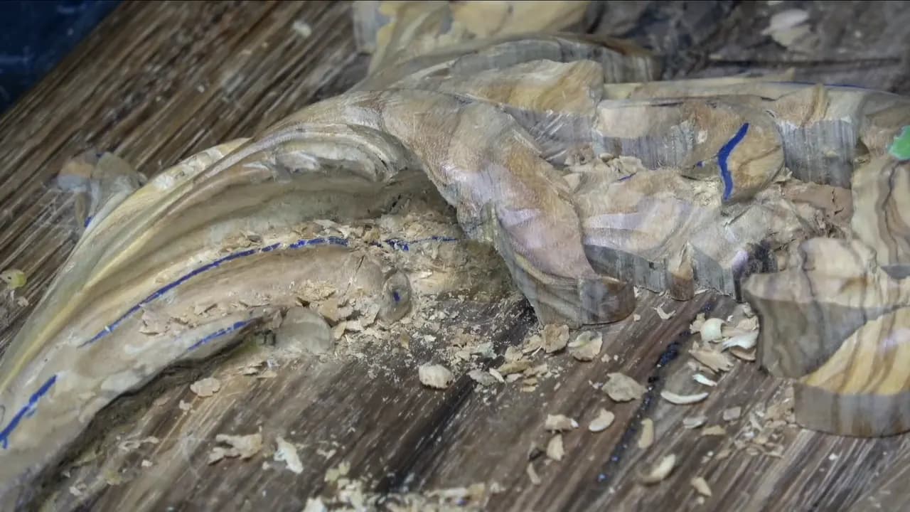 What does wood density mean?