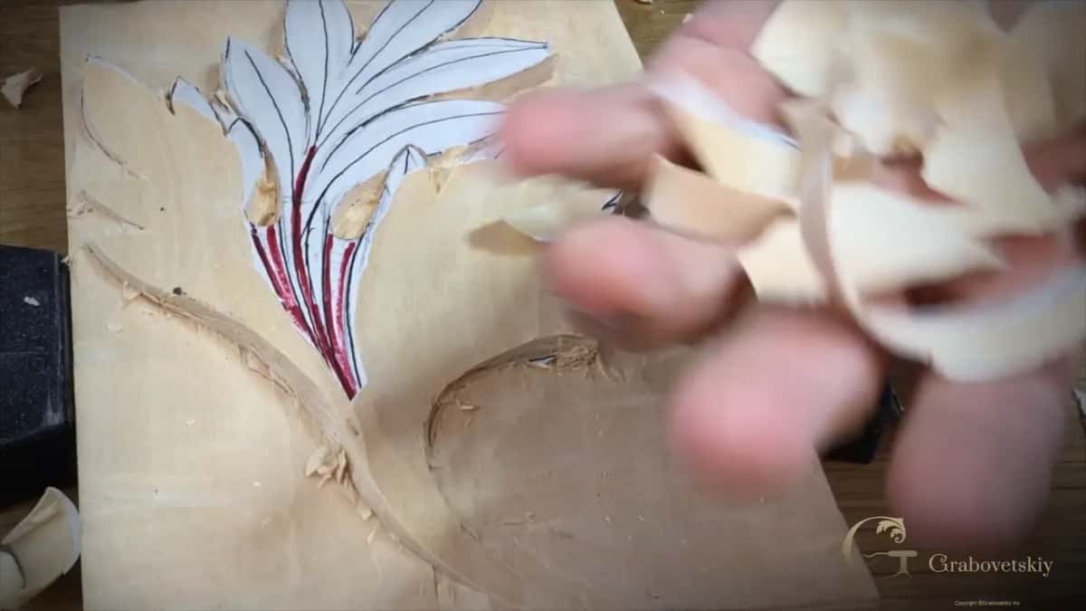 A long pale shaving curling off a carved leaf over four red layout lines