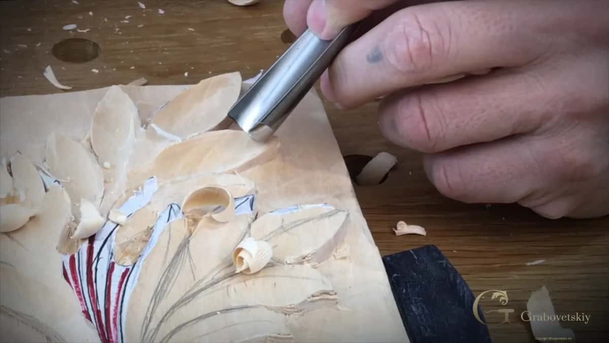 A gouge entering a lobe as the shaving curls off, the pencil flow lines still showing underneath it