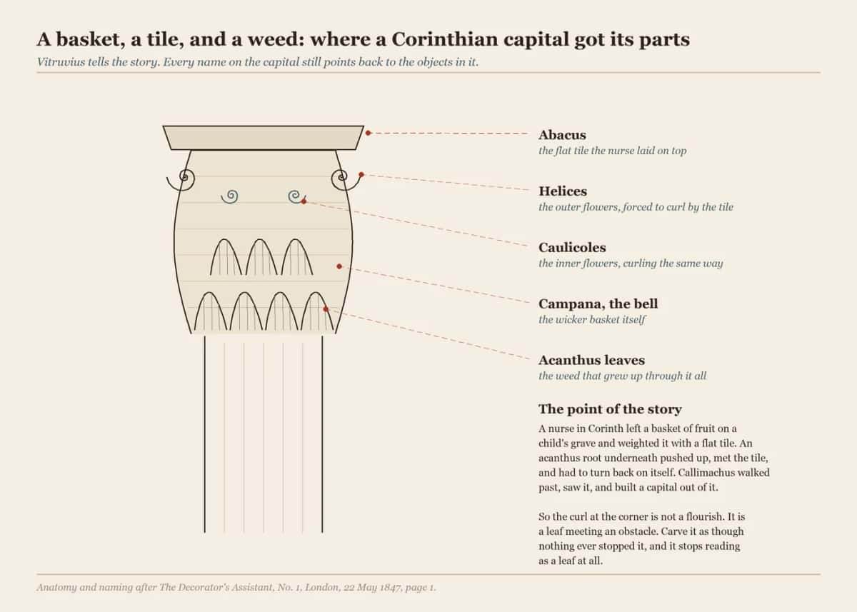 Diagram naming the parts of a Corinthian capital: abacus, helices, caulicoles, bell and leaves