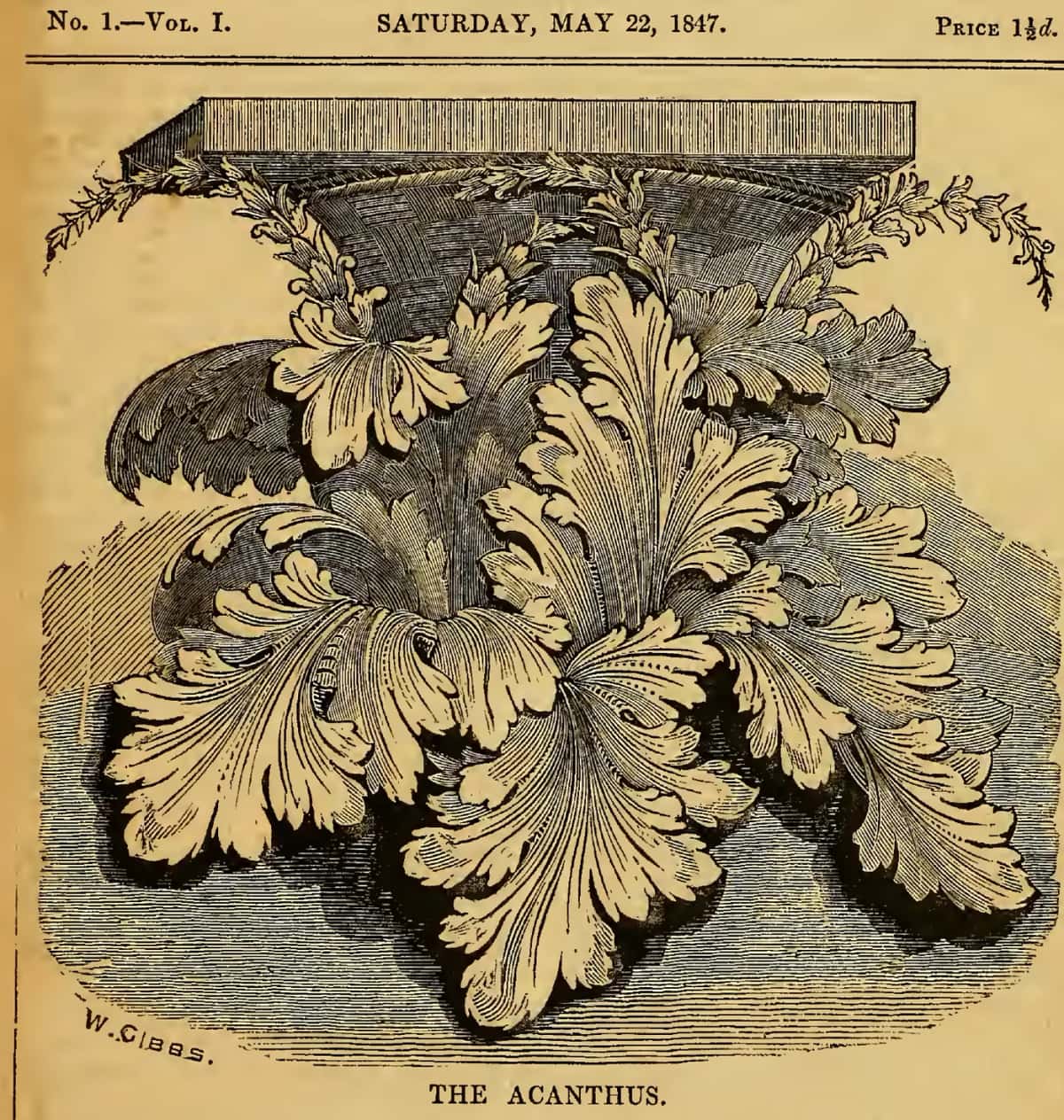 The Acanthus, front page of an 1847 magazine The front page of issue one of an 1847 magazine, given over entirely to a printed acanthus capital