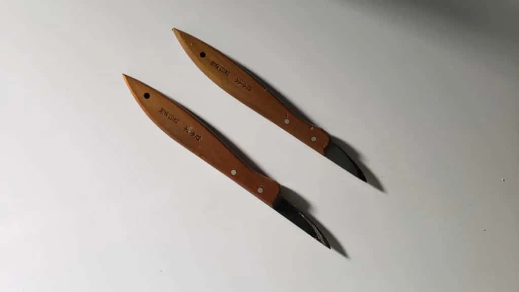 Two carving knives, nothing else