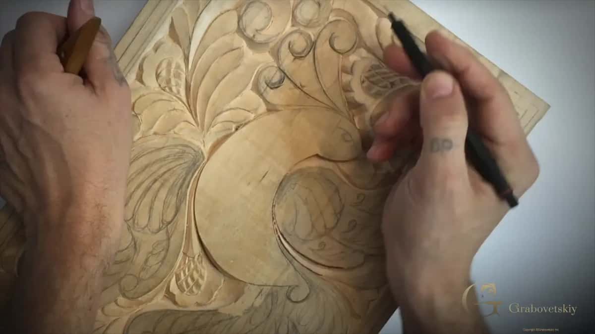 The volute section of the bird, waiting.