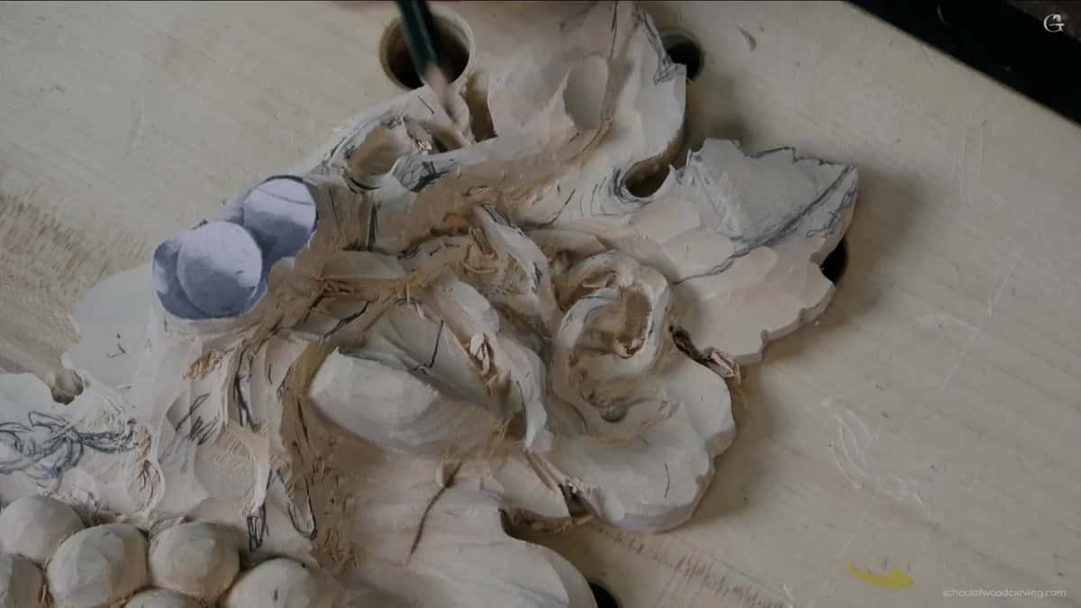 Raised ridge running out from where two lobes meet, which is the part that must not be timid
