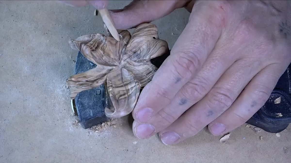 A pointed stick worked inside the petal's deep concave