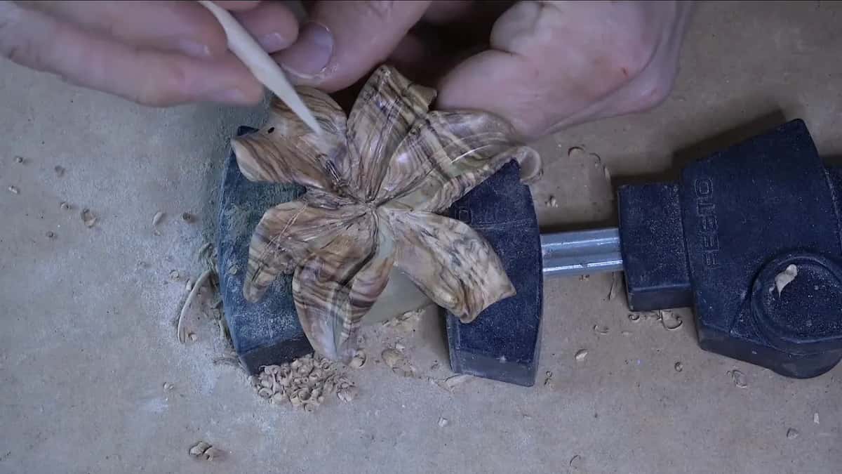 Olive lily in a clamp, a pointed stick rubbing its petals