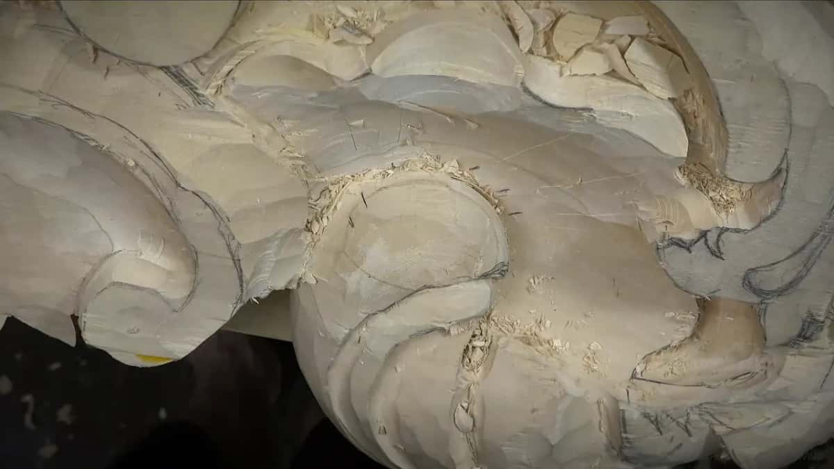 The shell from above, between cuts