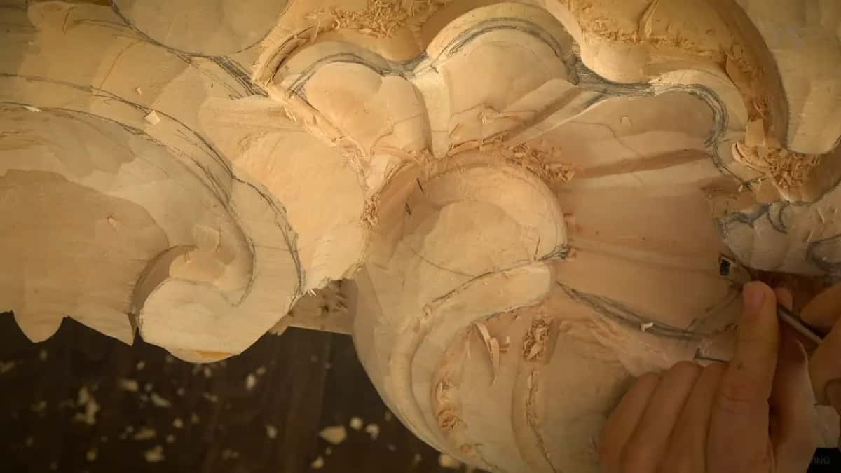 Below the shell's round middle, a hand at the lower right works a small blade along a rib