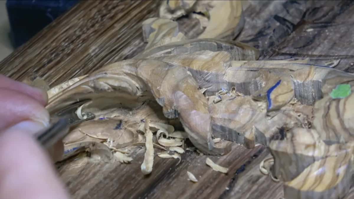 Long curled shavings lie under the leaf