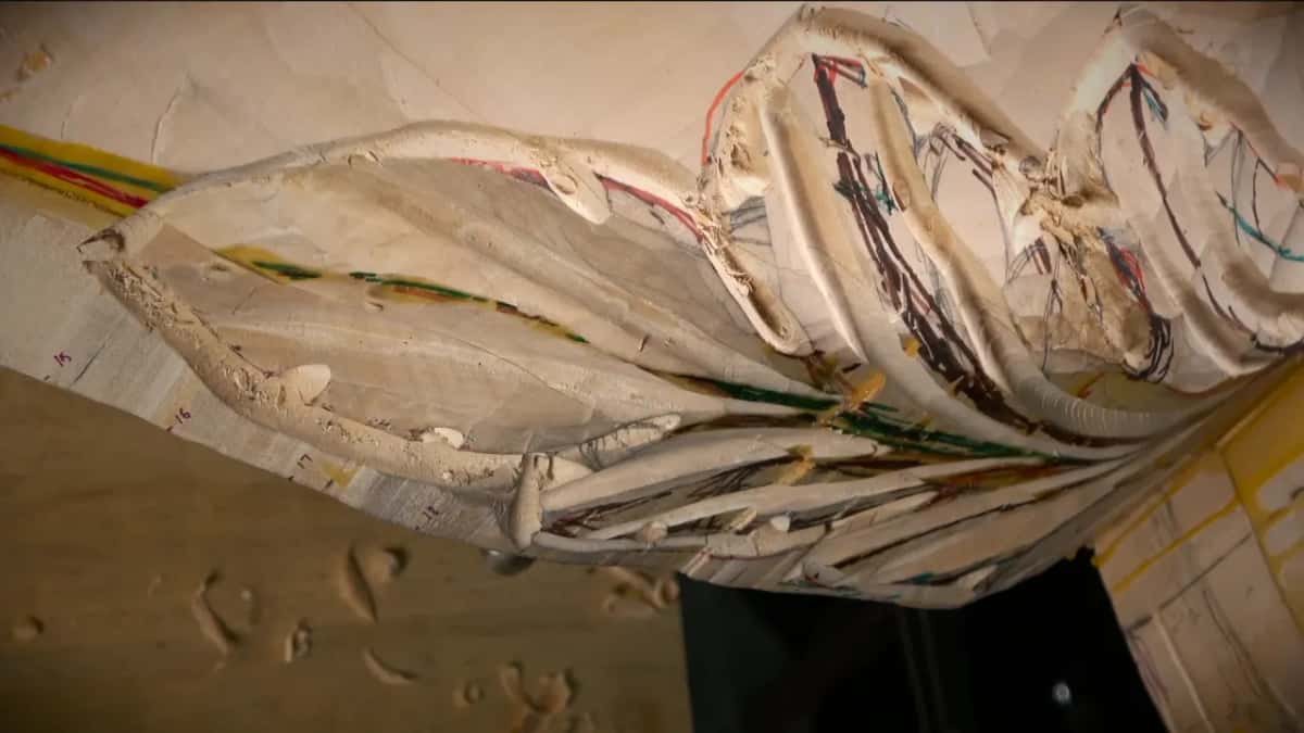 The whole leaf seen from low down, marker lines still showing on it