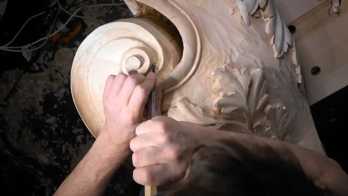 Narrow veiner close to the scroll's inner curve.