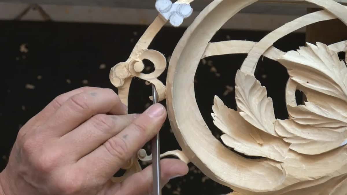 Leaves and the big ring behind my tool.