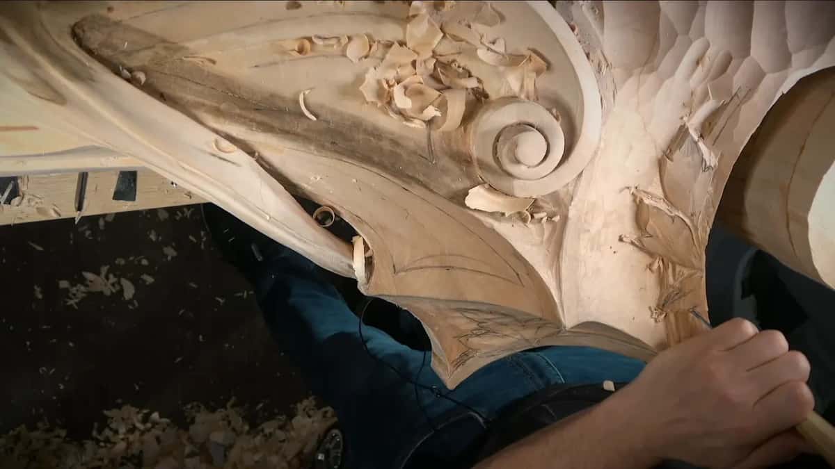 Tool held near the leaf tips at the bottom