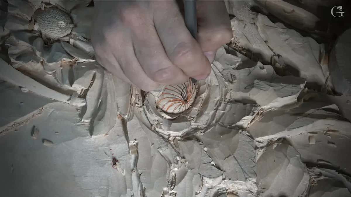Orange and black lines fan out from the middle of one small carved flower