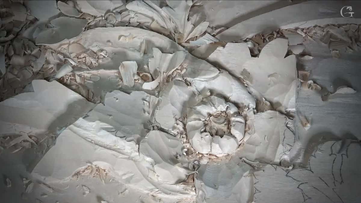 Petals turned up around the domed middle of a flower, chips still lying in every hollow around it