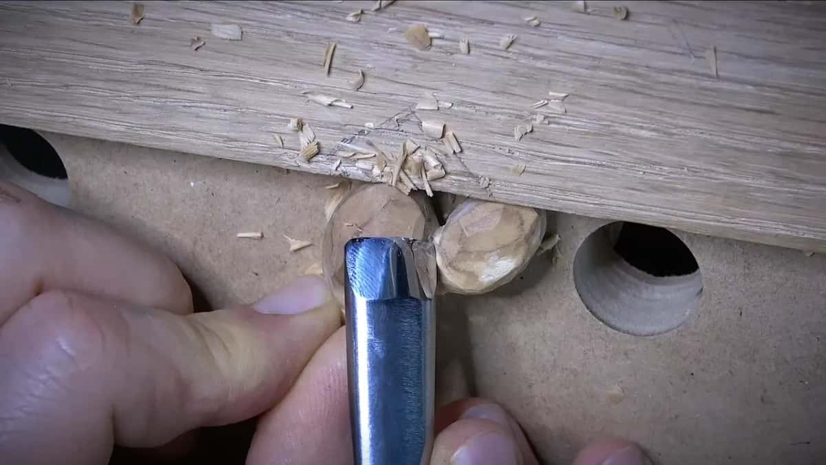 Gouge held over two olives