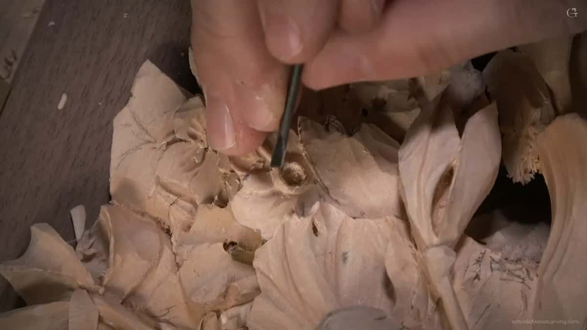 A thin tool inside a basswood flower