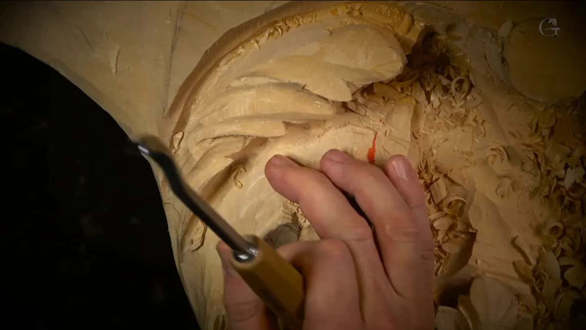 Fingers of one hand rest on the lobe while the other hand holds a bent veiner against it.