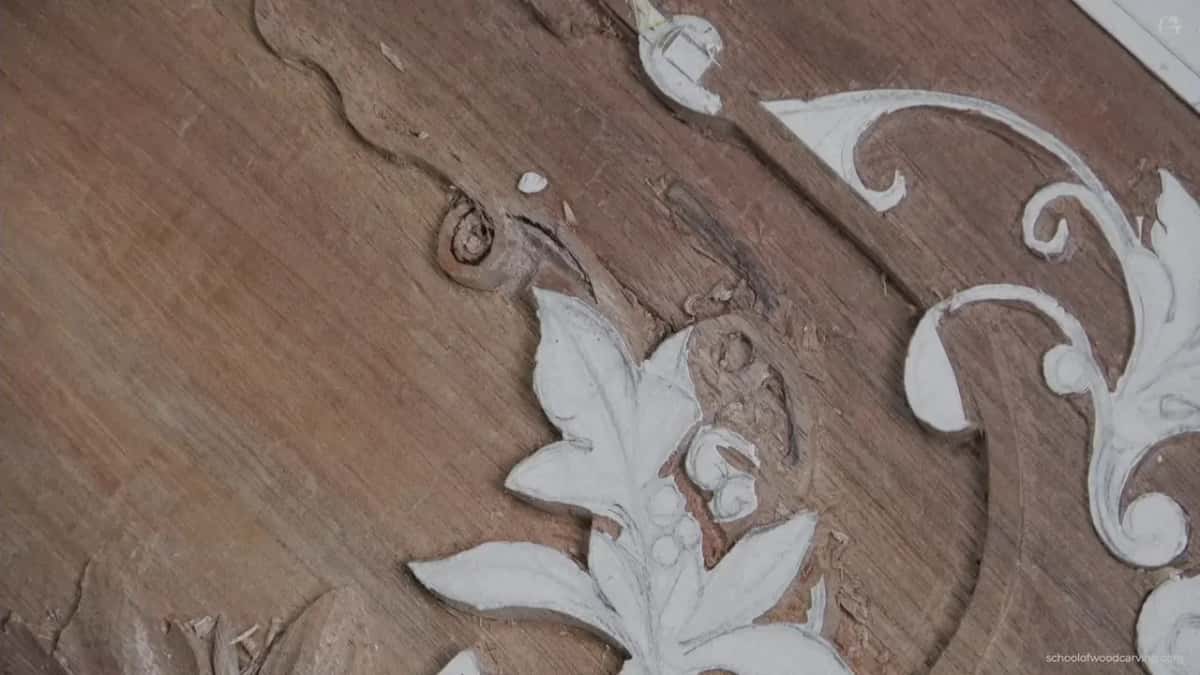 One thin carved shoot crossing beside a leaf, no wider than the blade that made it, with nothing else in the frame.