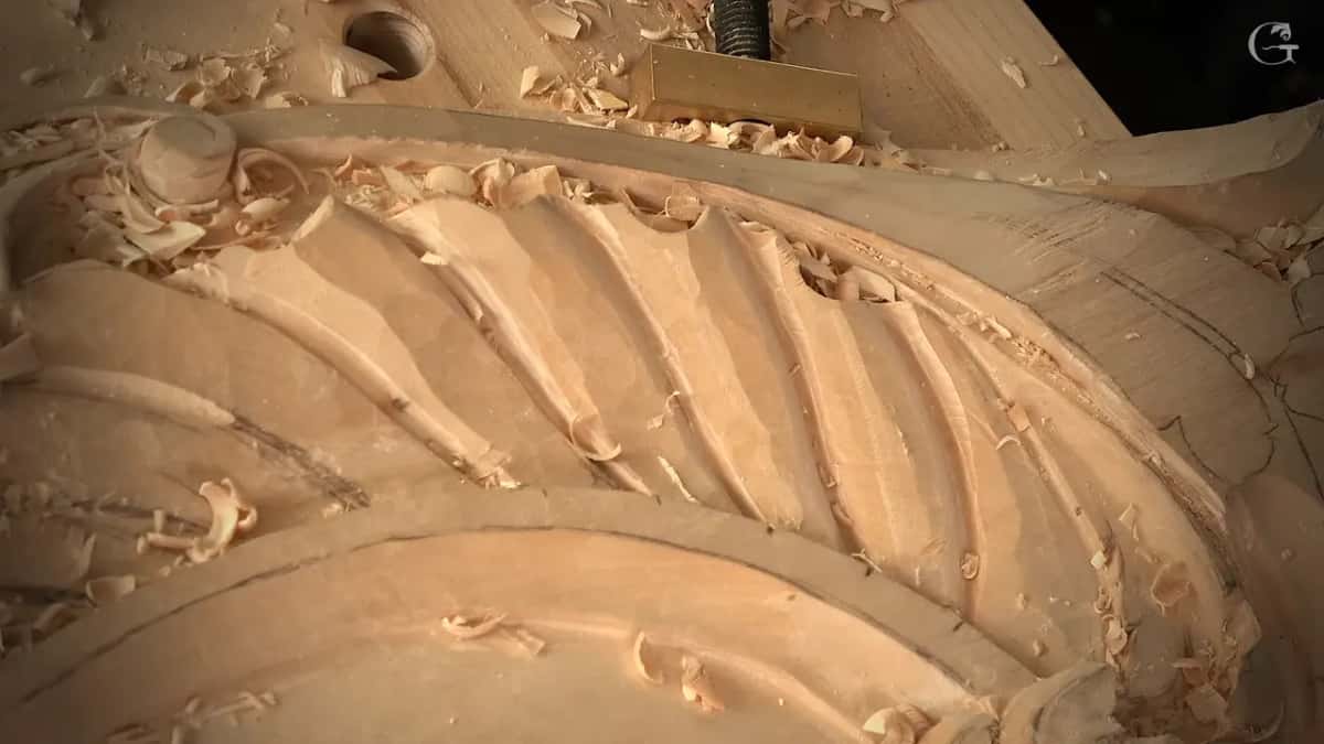 Folded flutes of the shell close up, a brass hold down above