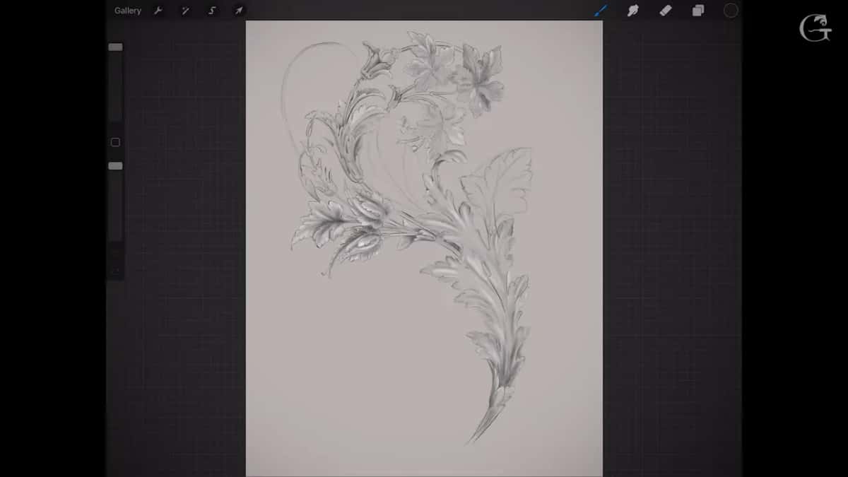 Acanthus and flower spray drawn in Procreate, grey pencil on a pale page