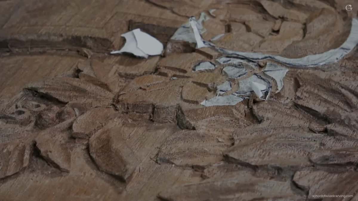 White paper scraps marking where one petal ends and its neighbour starts.