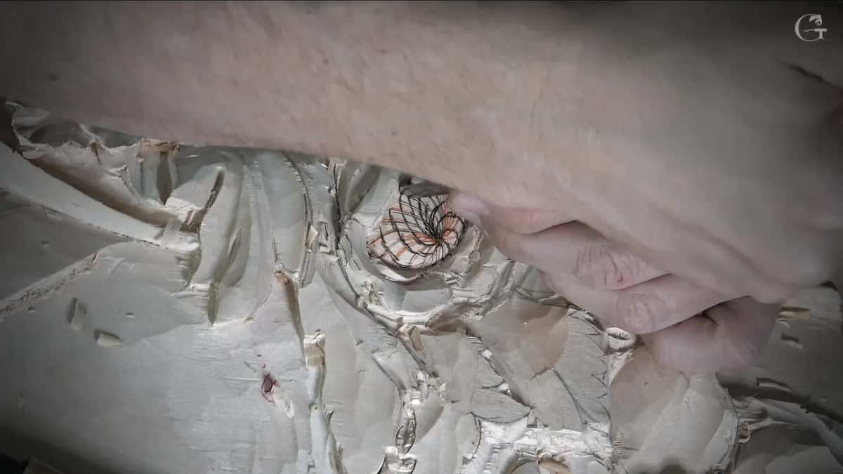 A forearm reaches over the flower while orange and black lines cover its middle