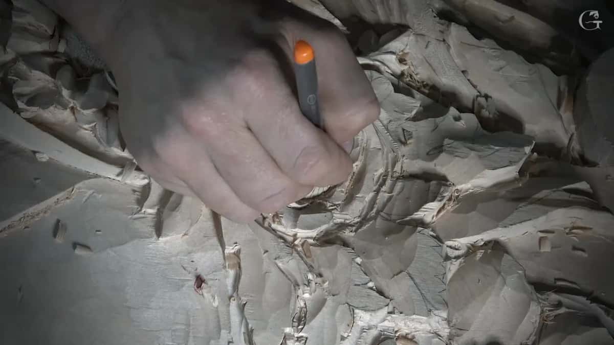 Orange marker in hand