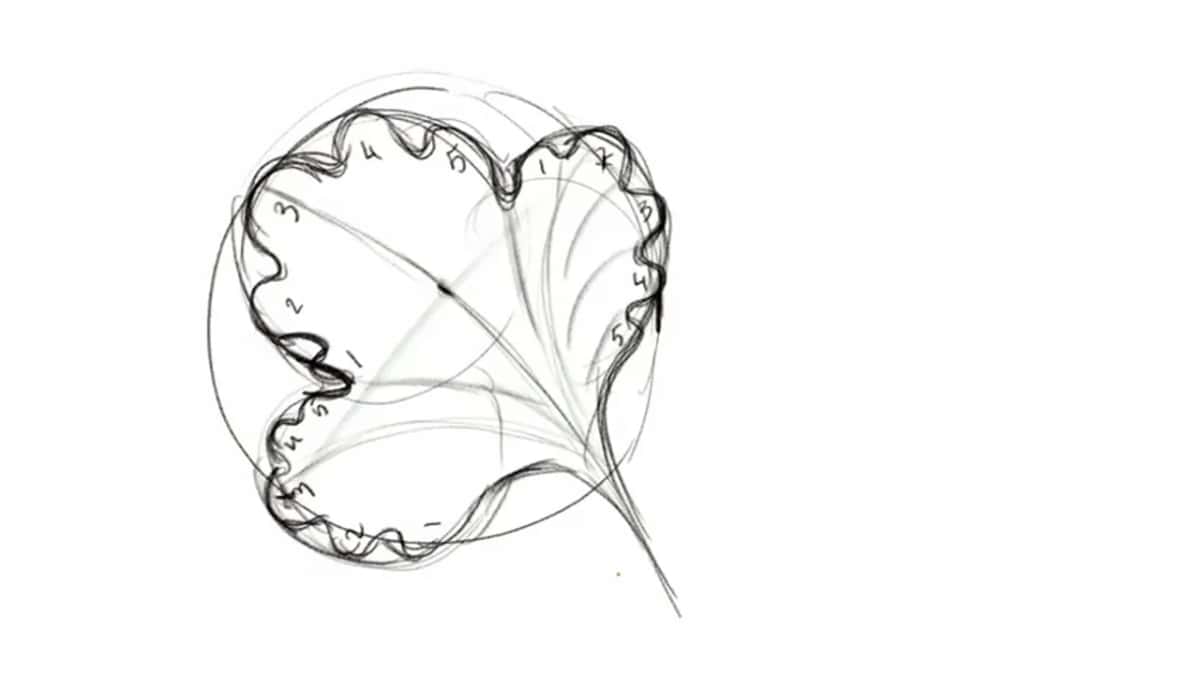 Wavy leaf outline over the circle, tiny numbers counting the lobes
