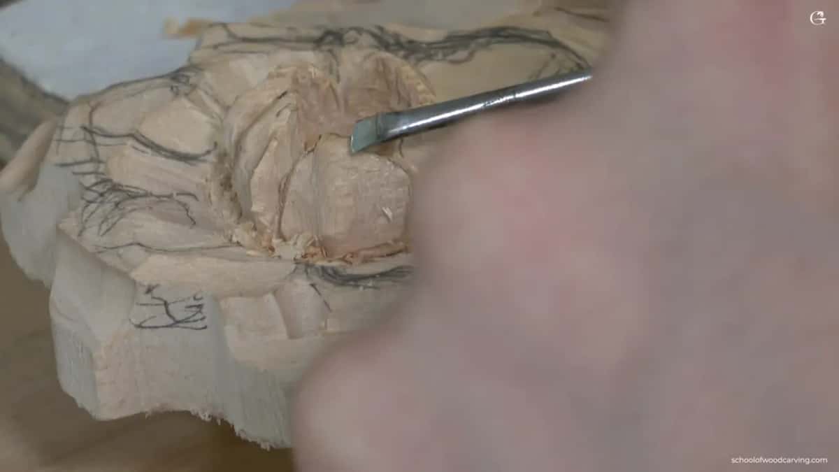 Edge of the petal being rolled in toward the center.
