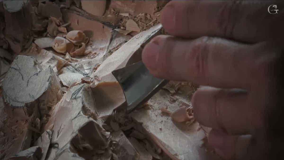 Wide gouge at a leaf ridge