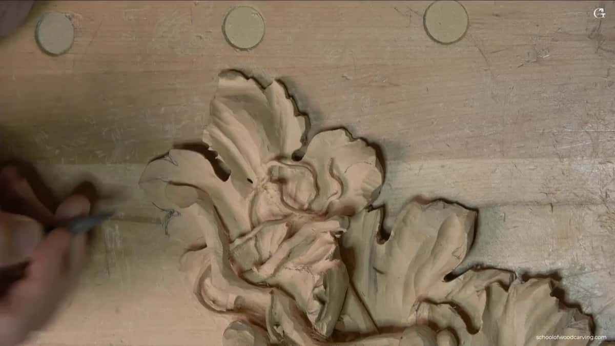 Leaf with its separations drawn on